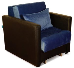 İrfan Refakatçi Koltuğu