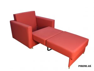 Irmak Refakatçi Koltuğu